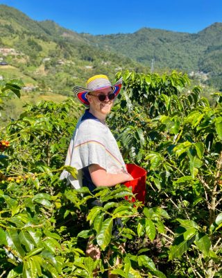 Tour group walking through coffee plants with mountain views