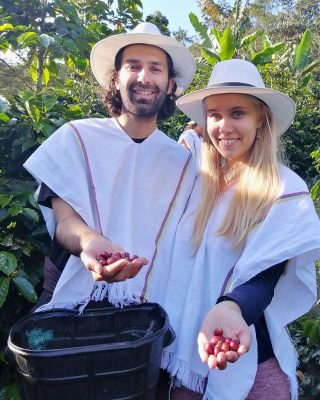 Tourists holding coffee beans in hands during coffee tour medellin