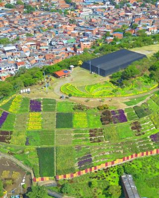 Community gardens blooming where the old dumpsite once stood
