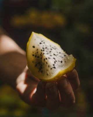 Close-up of pitaya fruit in Medellin