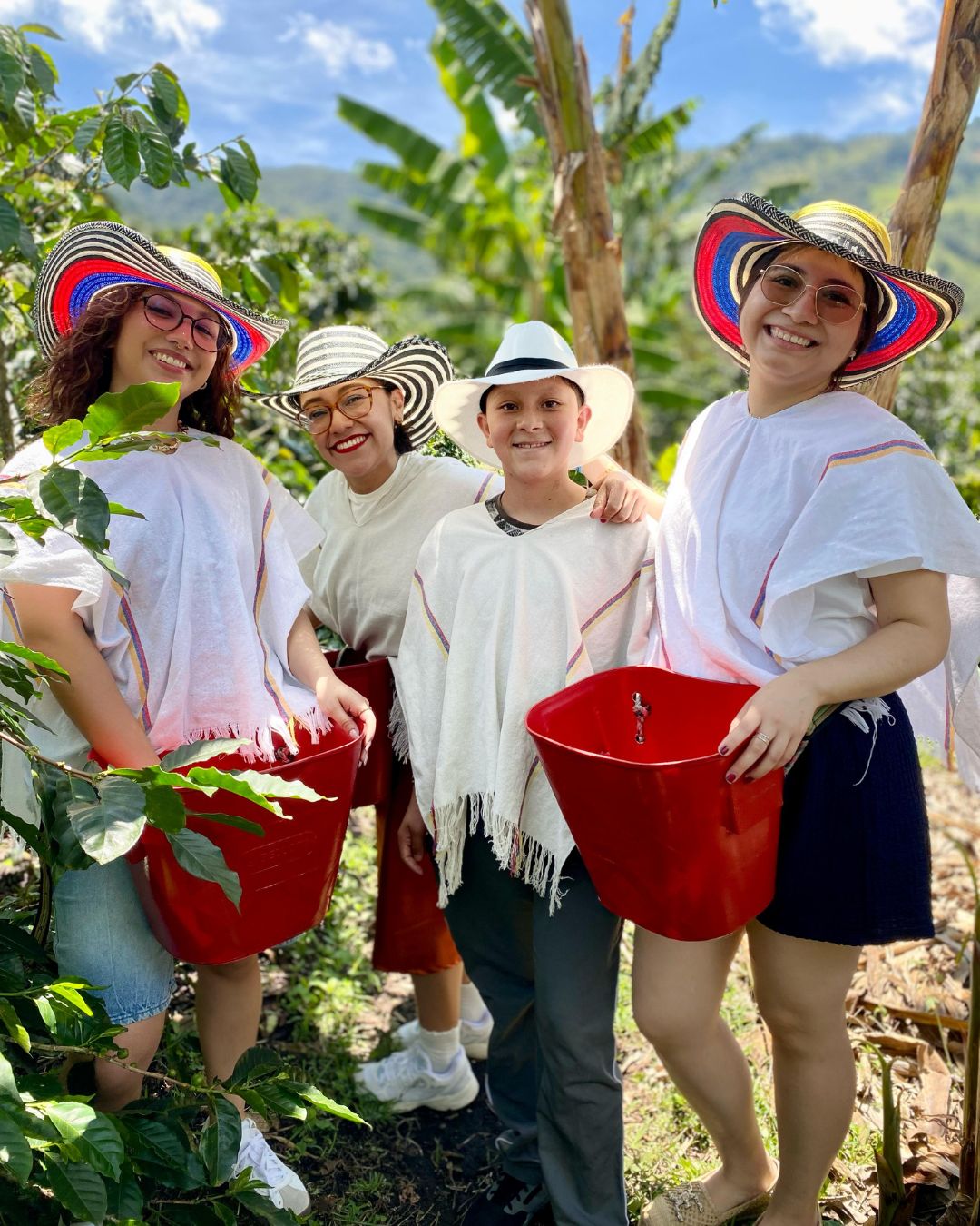 Coffee plantation view during Medellin coffee experience