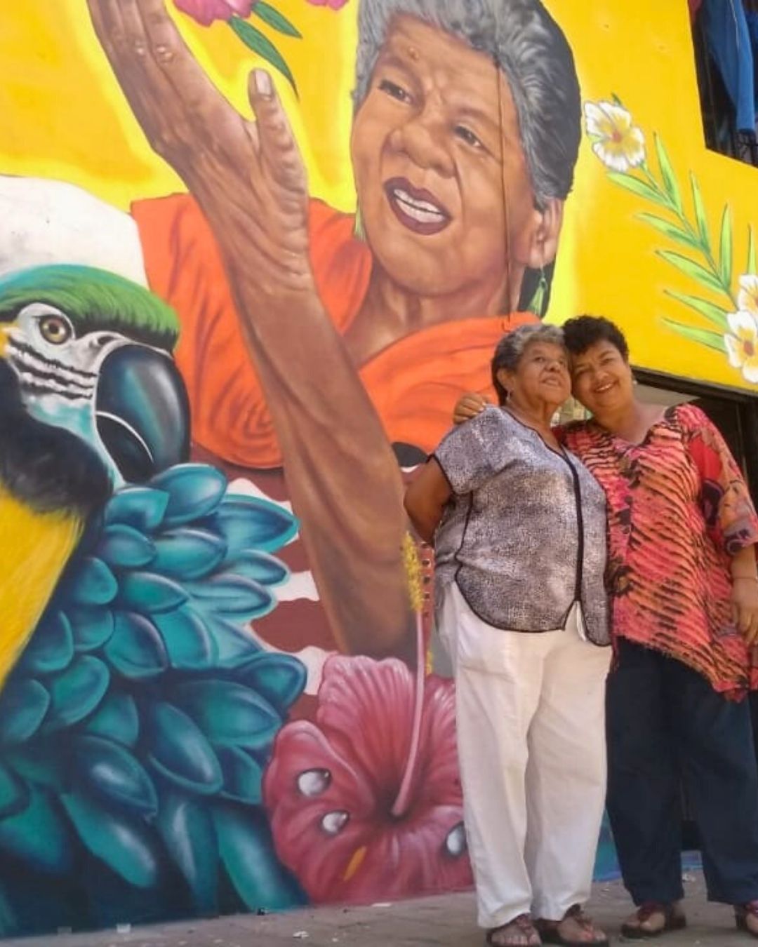 Colorful houses and urban gardens of Moravia Medellin