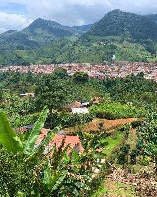 View over a coffee farm near Medellin with mountains in the background.